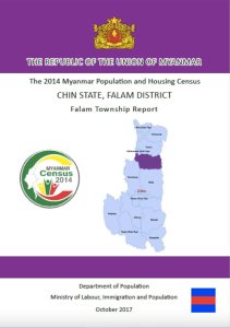 Census_Falam_2014