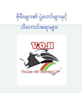 ဇိုမီးများ၏ ပွဲတော်များနှင့် သိကောင်းစရာ